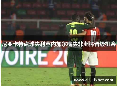 尼亚卡特点球失利塞内加尔痛失非洲杯晋级机会